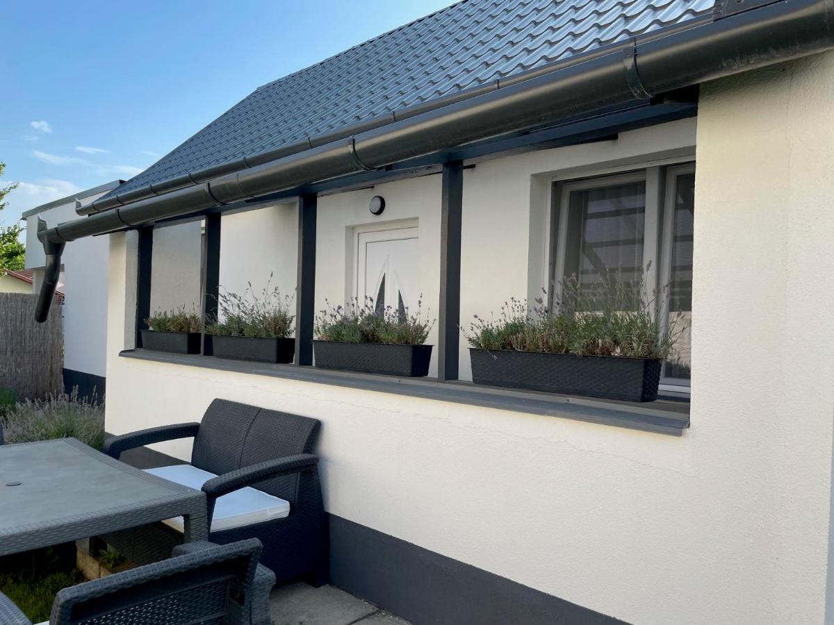Lavender Garden Apartment ديبريتْسين المظهر الخارجي الصورة